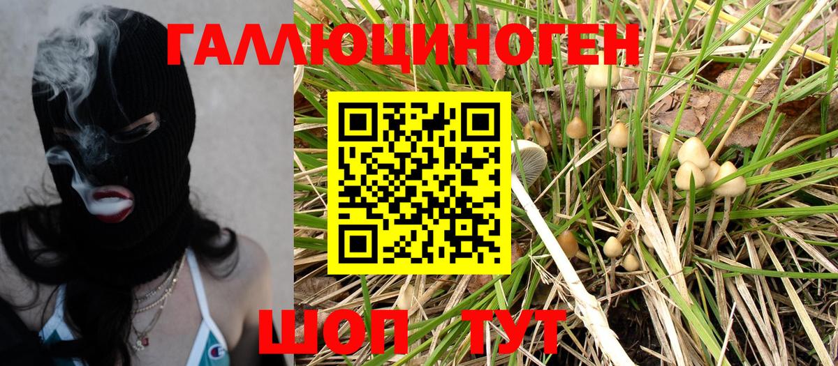 Йошкар-Ола  Псилоцибиновые грибы Magic Shrooms  Вход с VPN 